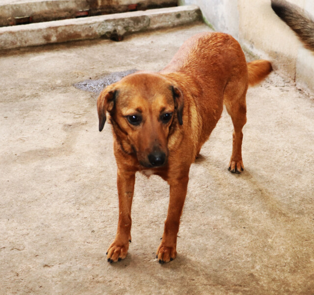 Julieta 