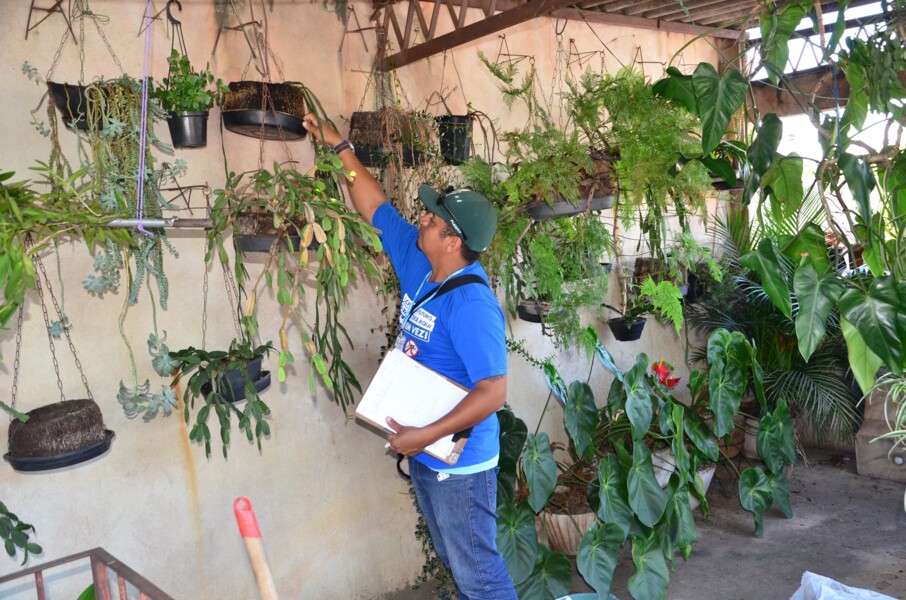 prefeitura-de-carapicuiba-promove-mutirao-de-combate-ao-mosquito-da-dengue