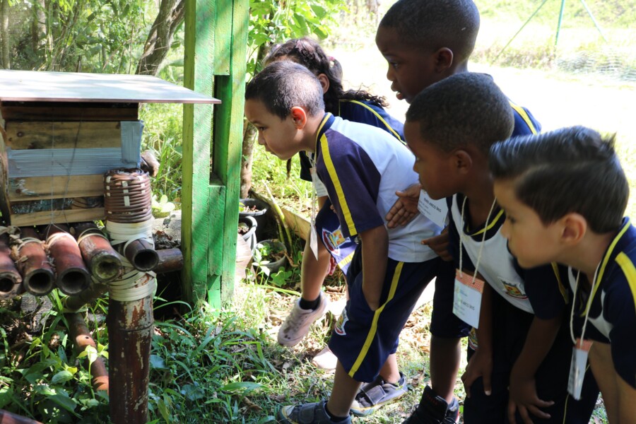 mais-de-500-agentes-curumins-de-defesa-ambiental-sao-certificados