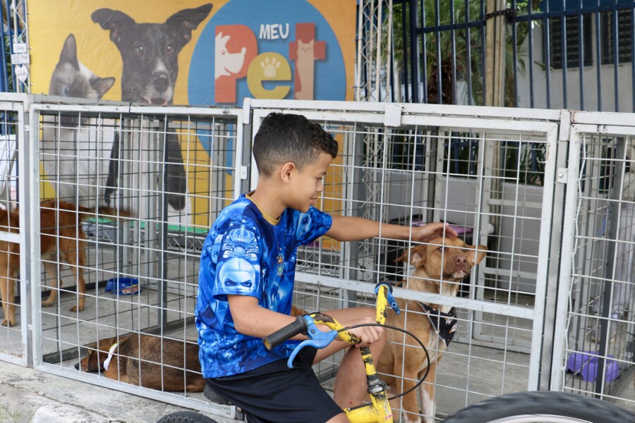 feira-de-adocao-de-pets-no-jardim-novo-horizonte-acontece-neste-sabado-12